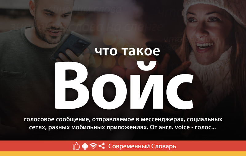 Что такое Войс?